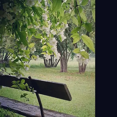 Guest house Maison Blanche *