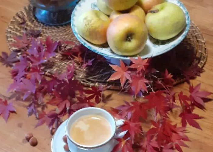 Vendégház Maison Blanche