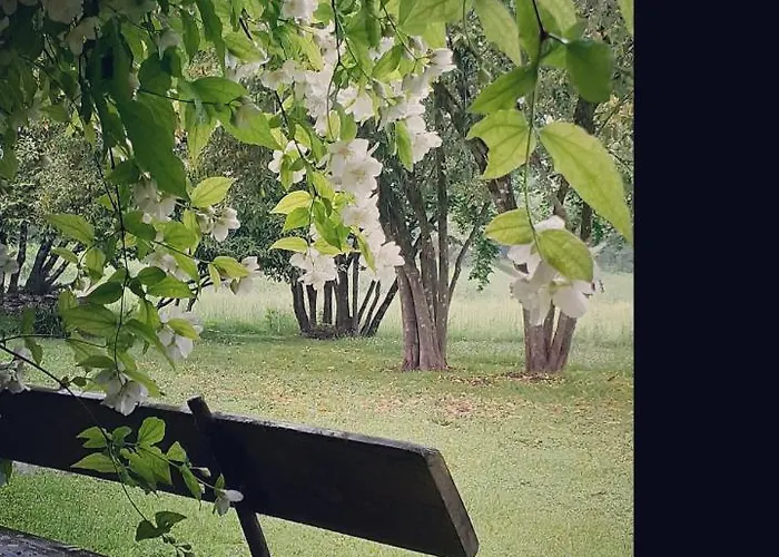 게스트하우스 Maison Blanche *